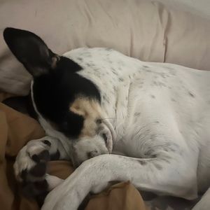 Meet your Posher, Posh